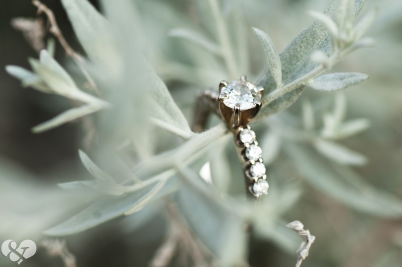 tampa wedding photographer, harbour island engagement session, tampa engagement session, engagement photos