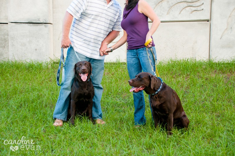 madeira beach engagement session, john's pass, st. petersburg wedding photographer, engagement session with dogs