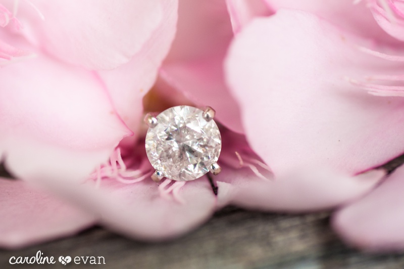 Safety Harbor Engagement Session Wedding Photographers 11