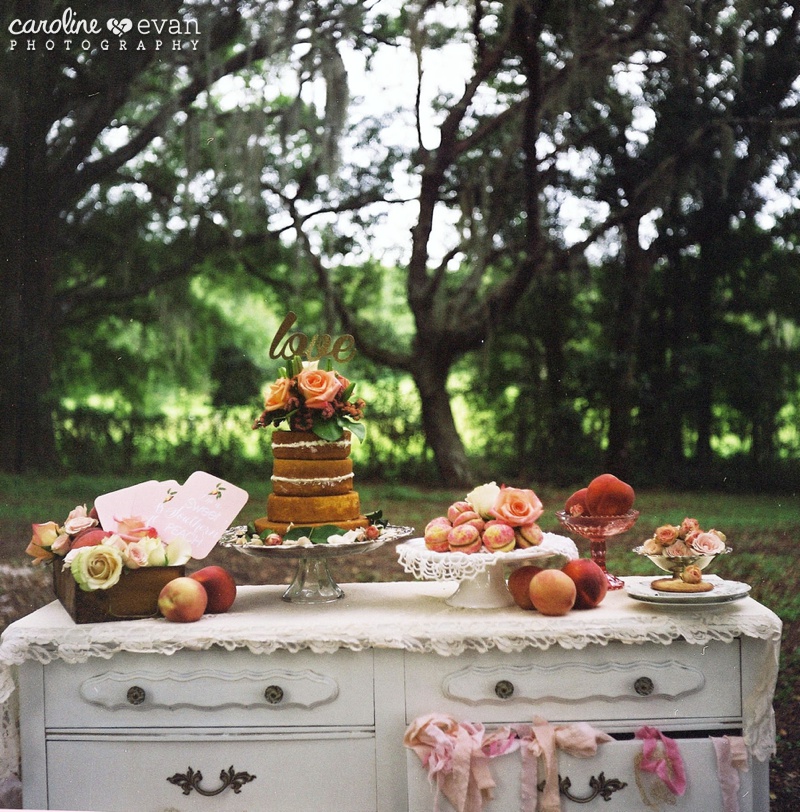 film wedding photography rustic southern peach inspiration_0006