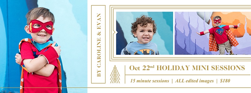 tampa family photographers holiday mini sessions
